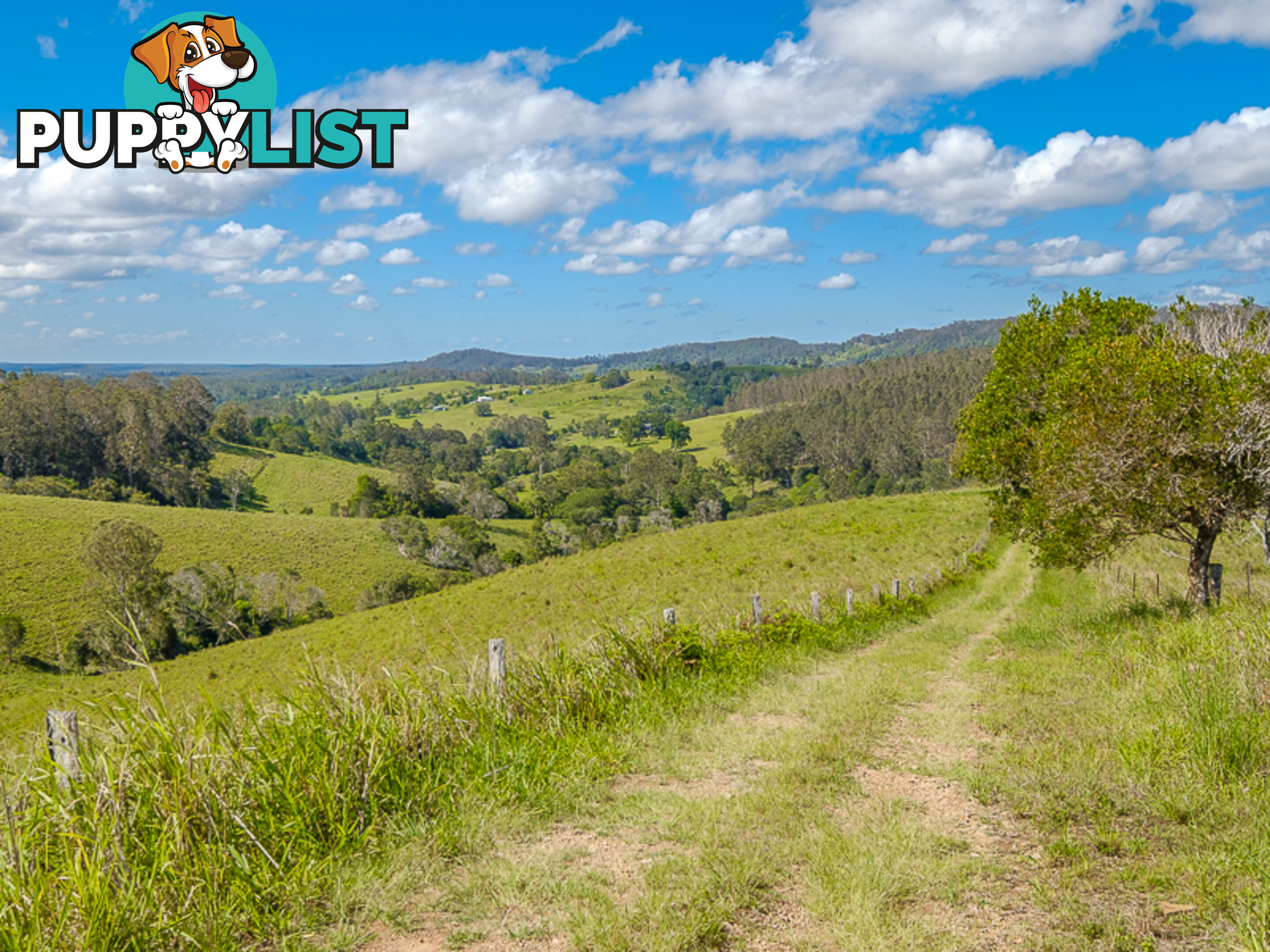 1386 Sandy Creek Rd DOWNSFIELD QLD 4570