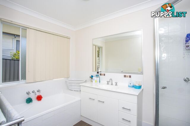 6 Premier Avenue JONES HILL QLD 4570