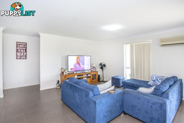 6 Premier Avenue JONES HILL QLD 4570