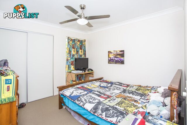 6 Premier Avenue JONES HILL QLD 4570