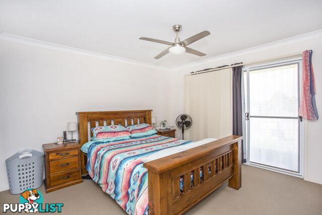 6 Premier Avenue JONES HILL QLD 4570