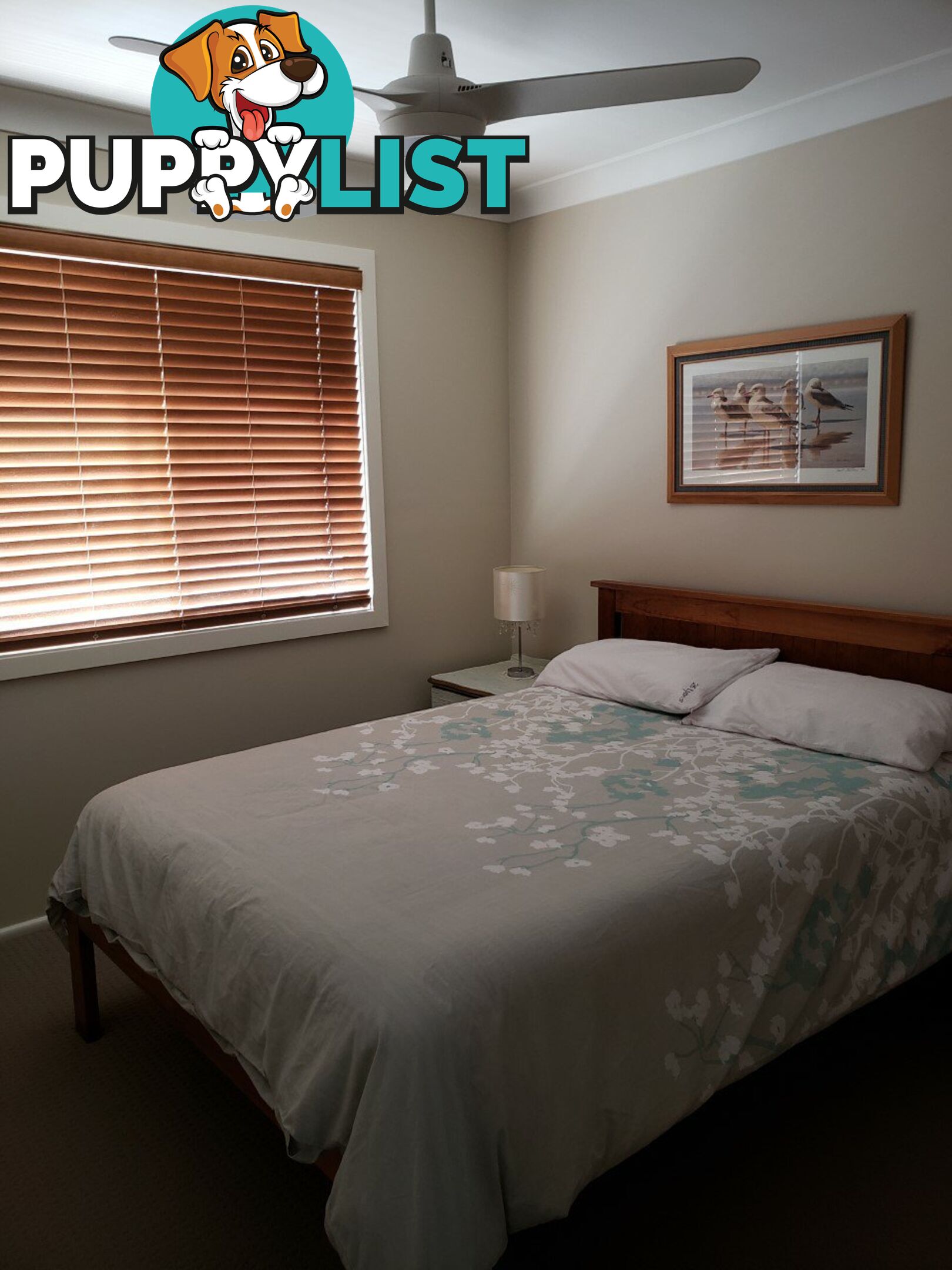 26 Lyons Road SUSSEX INLET NSW 2540