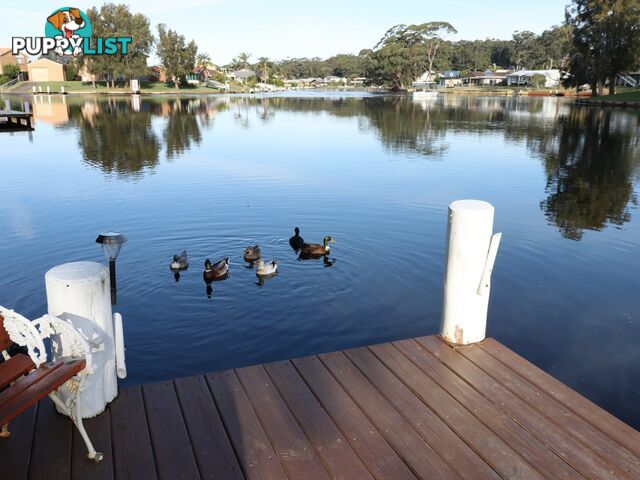 6 Plover Close SUSSEX INLET NSW 2540