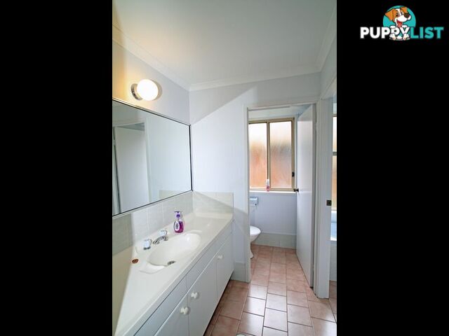 6 Plover Close SUSSEX INLET NSW 2540