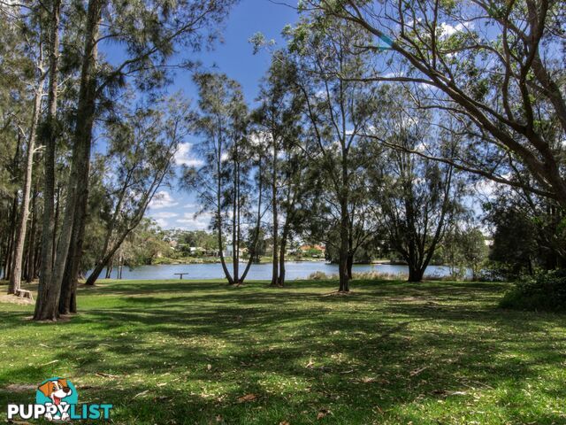 55 Ray Street SUSSEX INLET NSW 2540