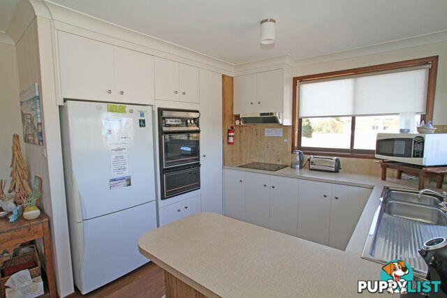 59 Jacobs Drive SUSSEX INLET NSW 2540