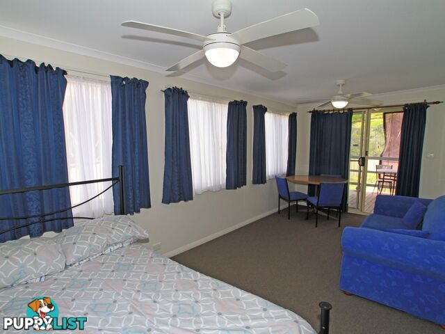 6/157 The Springs Road SUSSEX INLET NSW 2540