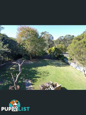 19 Yarroma Avenue SWANHAVEN NSW 2540