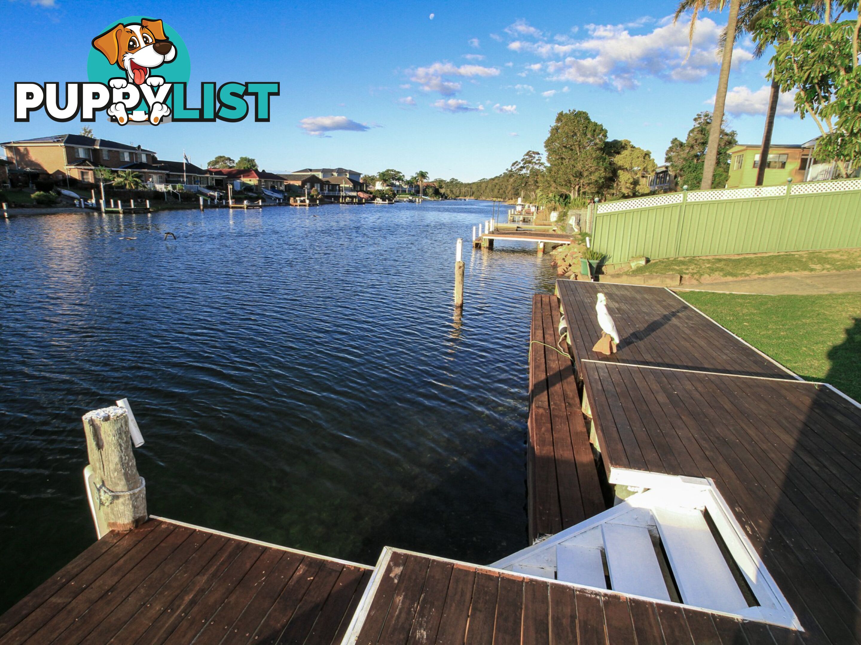 53 Cater Crescent SUSSEX INLET NSW 2540