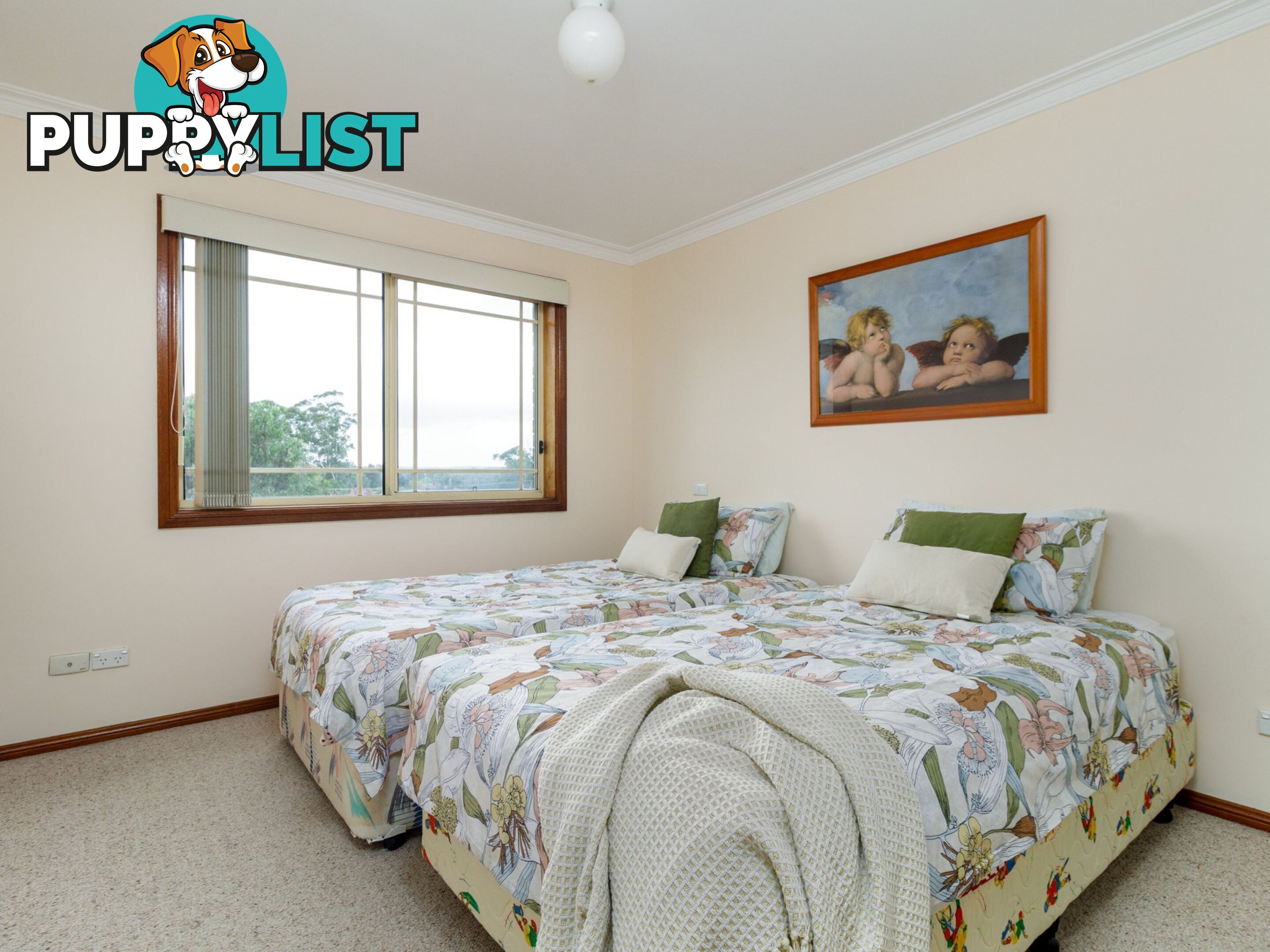 42 Tradewinds Avenue SUSSEX INLET NSW 2540