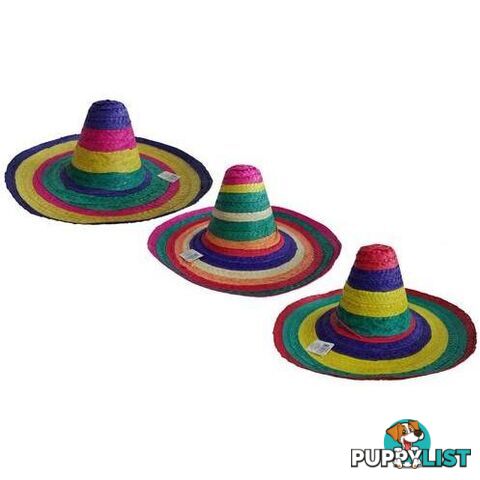 Sombrero Multi Colour - Adult - 9311965065838