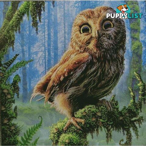 5D Diamond Art Kit 30x30cm Owl - 800566