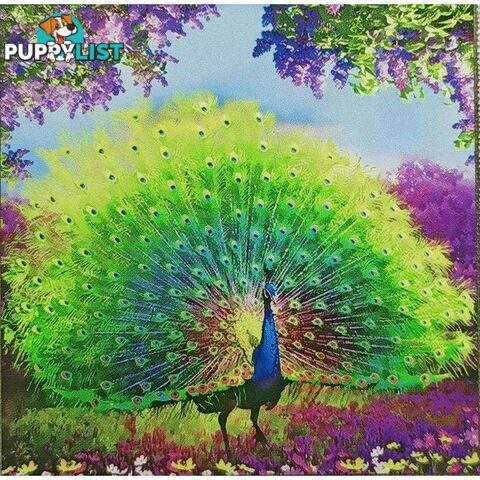 5D Diamond Art Kit 30x30cm Peacock - 800567