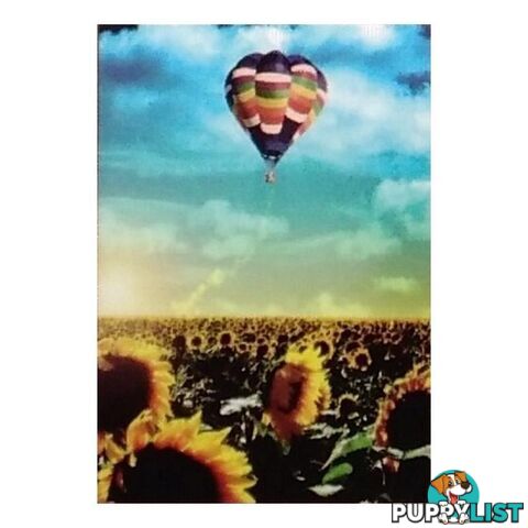 5D Diamond Art Balloon Bliss 25x35cm - 800637