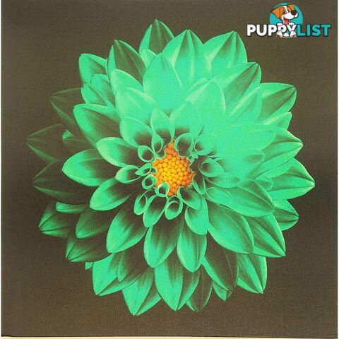 Canvas Prints 40x40cm Blue Flower - 801078