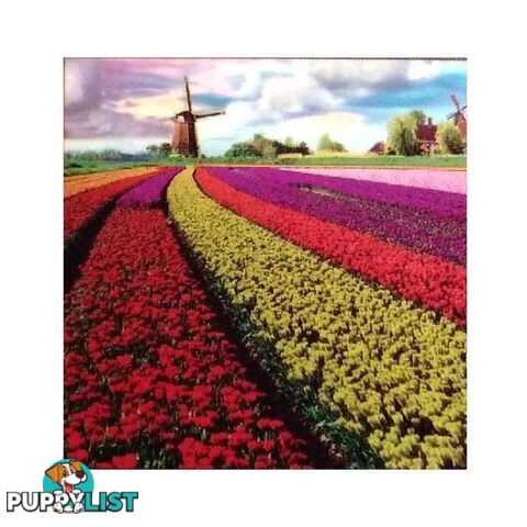 5D Diamond Art Kit Tulip Fields 30 x 30 cm - 800632