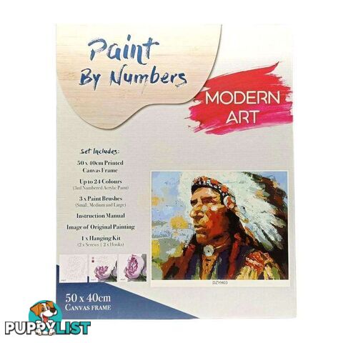 Paint By Numbers Red indian with Frame 40x50cm - 800526