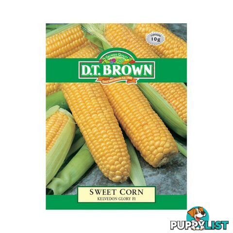 Sweet Corn Kelvedon Glory Seeds - 5030075029946