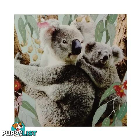 Diamond Art 30x40cm Koala - 9313559572531