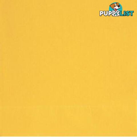 Sun Yellow 20 Lunch Napkins - 011179031825