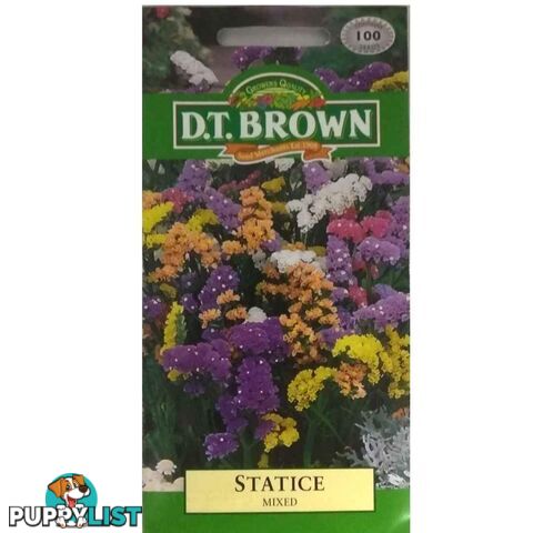 Statice Mixed Seeds - 5030075004929