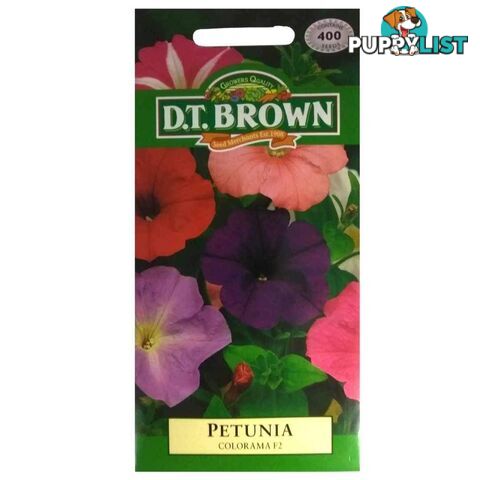 Petunia Colorama F2 Seeds - 5030075003663