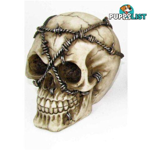 Skull Head 3 12cm - Barbed Wire - 800253