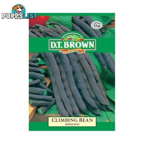 Climbing Bean Purple King Seeds - 5030075022121