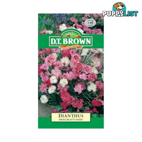 Dianthus Spring Beauty Seeds - 5030075001553