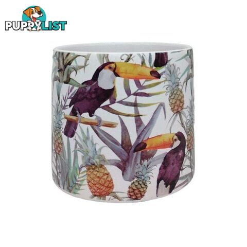 Bird Range Toucan Pot Small - 800370