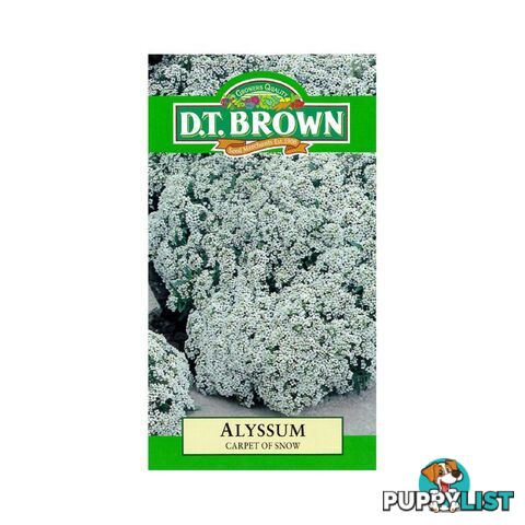 Alyssum Carpet Of Snow Seeds - 5030075000136