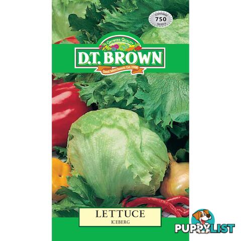 Lettuce Iceburg Seeds - 5030075022718