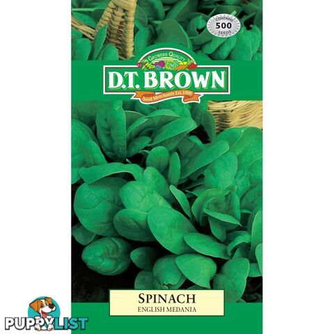 Spinach English Medania Seeds - 5030075021667