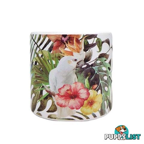 Bird Range Cockatoo Pot Medium - 800358