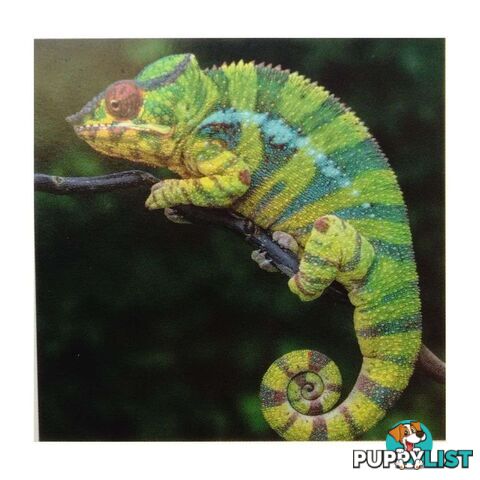 Diamond Art 30x40cm Chameleon - 9313559572555