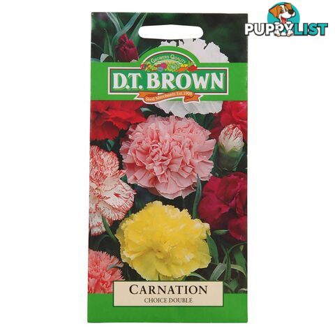 Carnation Choice Double Seeds - 5030075025689