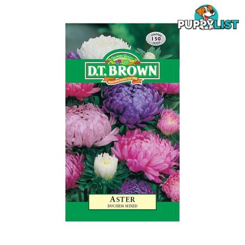 Aster Duchess Mixed Seeds - 5030075000402