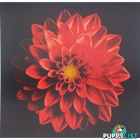 Canvas Prints 40x40cm Red Flower - 801071