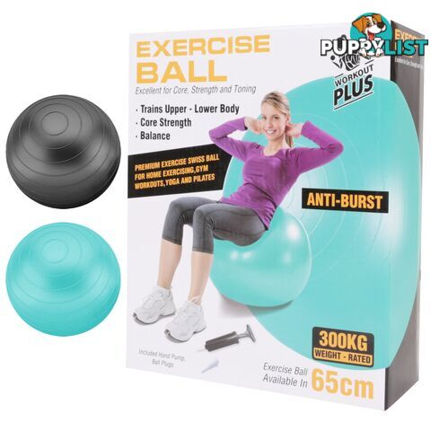 Fit Exercise Ball Anti Burst 65cm - 9328644069896