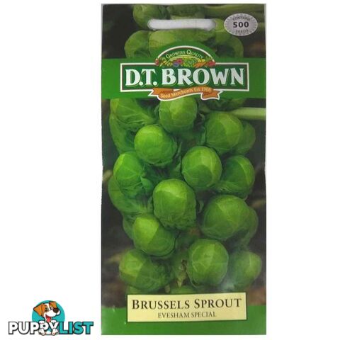 Brussels Sprout Evesham Seeds - 5030075020219