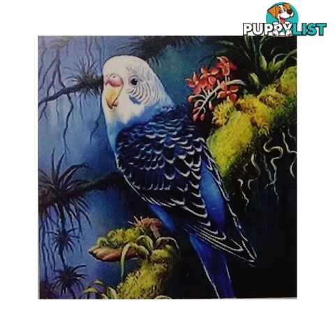 Diamond Art 30x40cm Budgie - 9313559572500