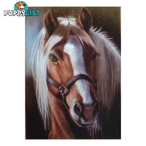 5D Diamond Art Horse Dreams 25x35cm - 800639