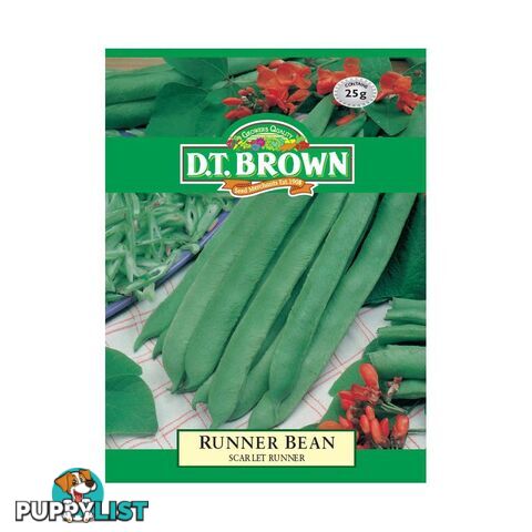 Runner Bean Scarlet Runner Seeds - 5030075022145