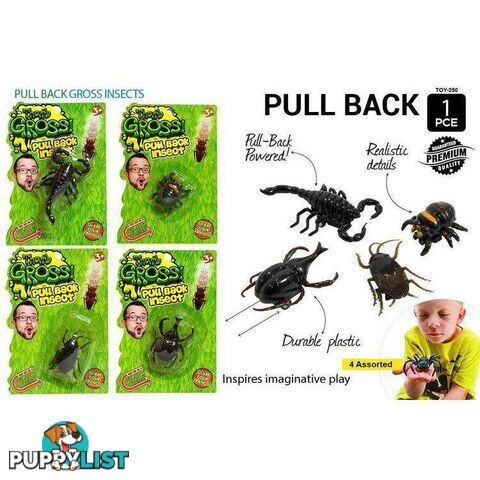 Insect-Pull Back Action Toy - 9315892262797