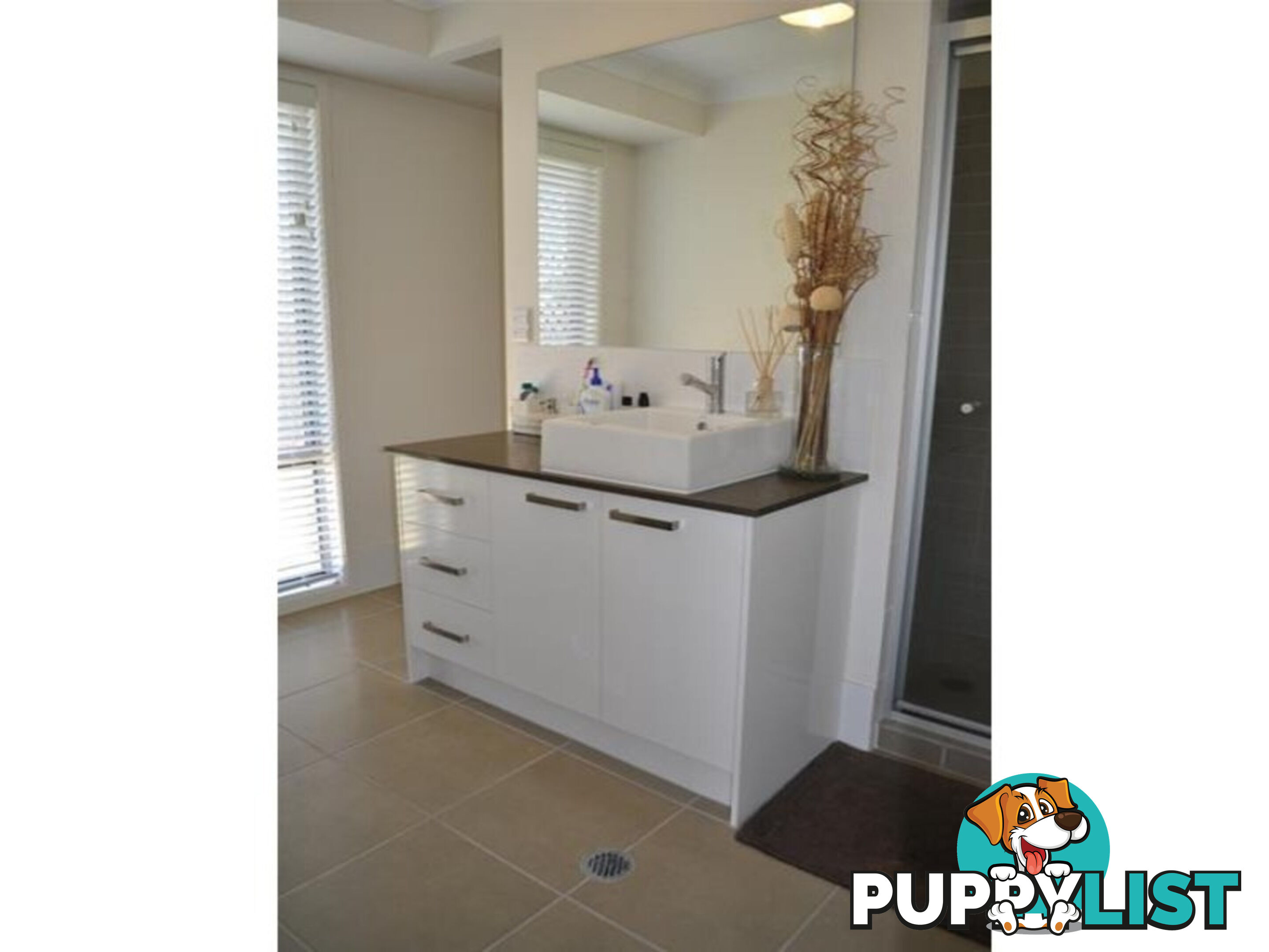 6 Gardner Place SILKSTONE QLD 4304