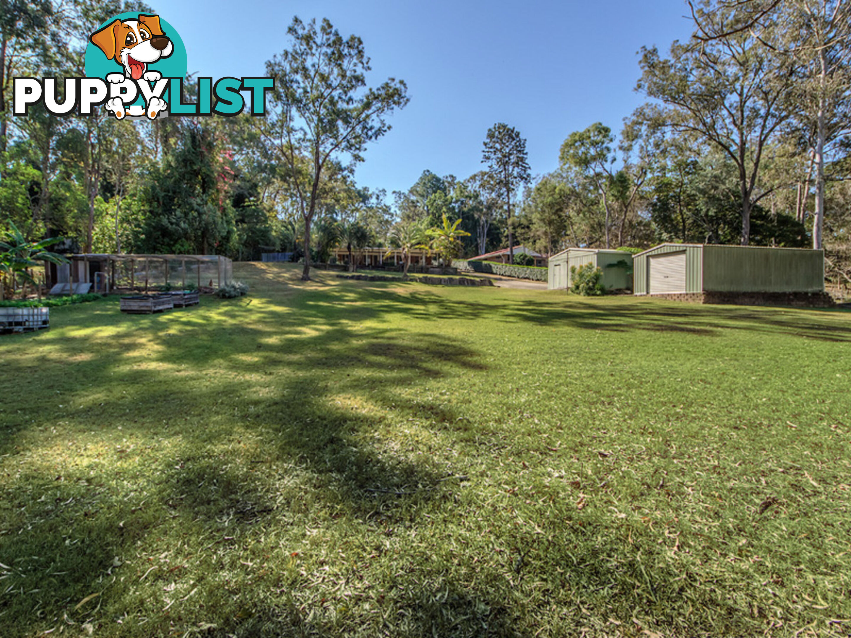 18 Hallett Avenue Camira QLD 4300