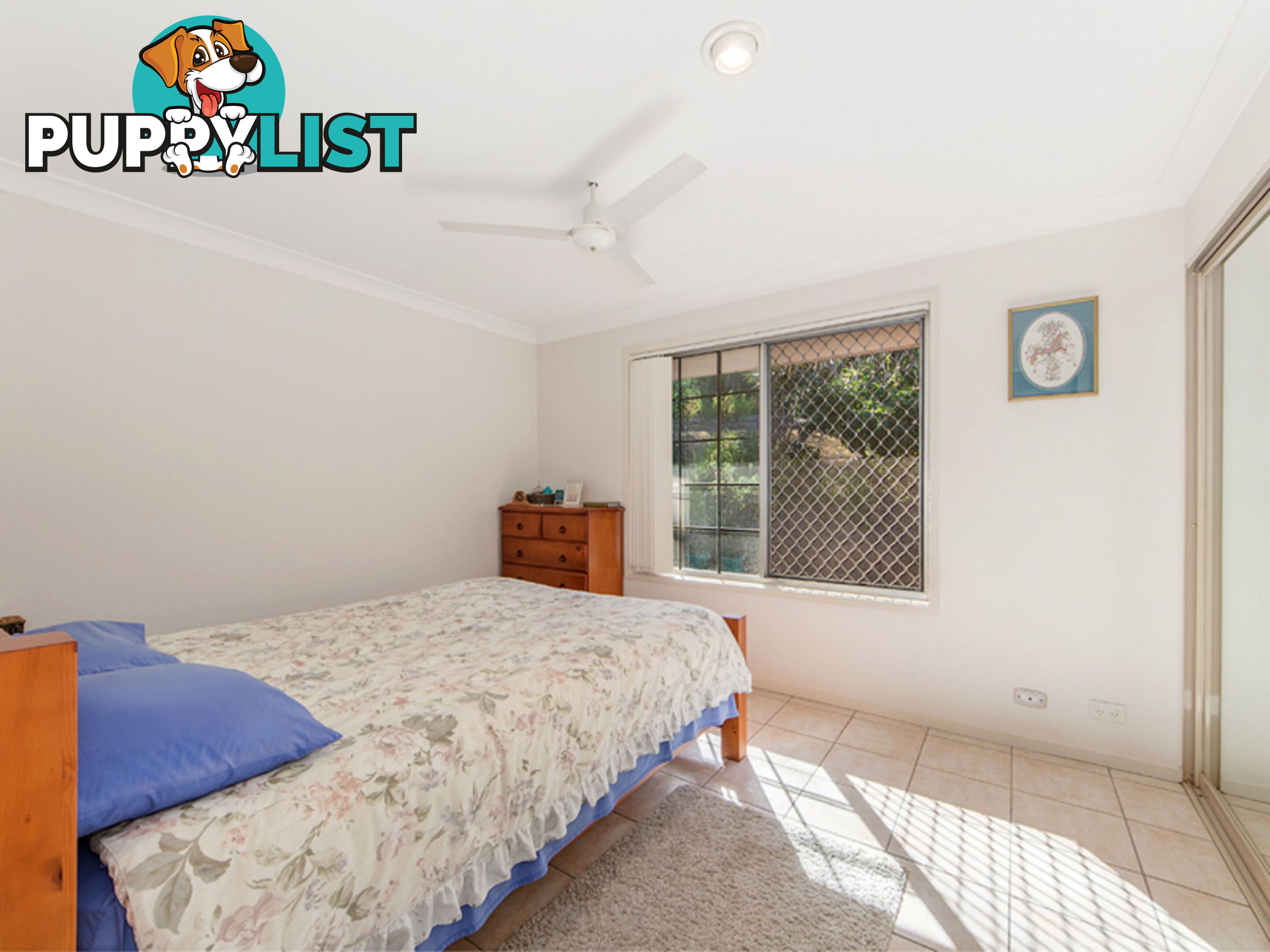 18 Hallett Avenue Camira QLD 4300