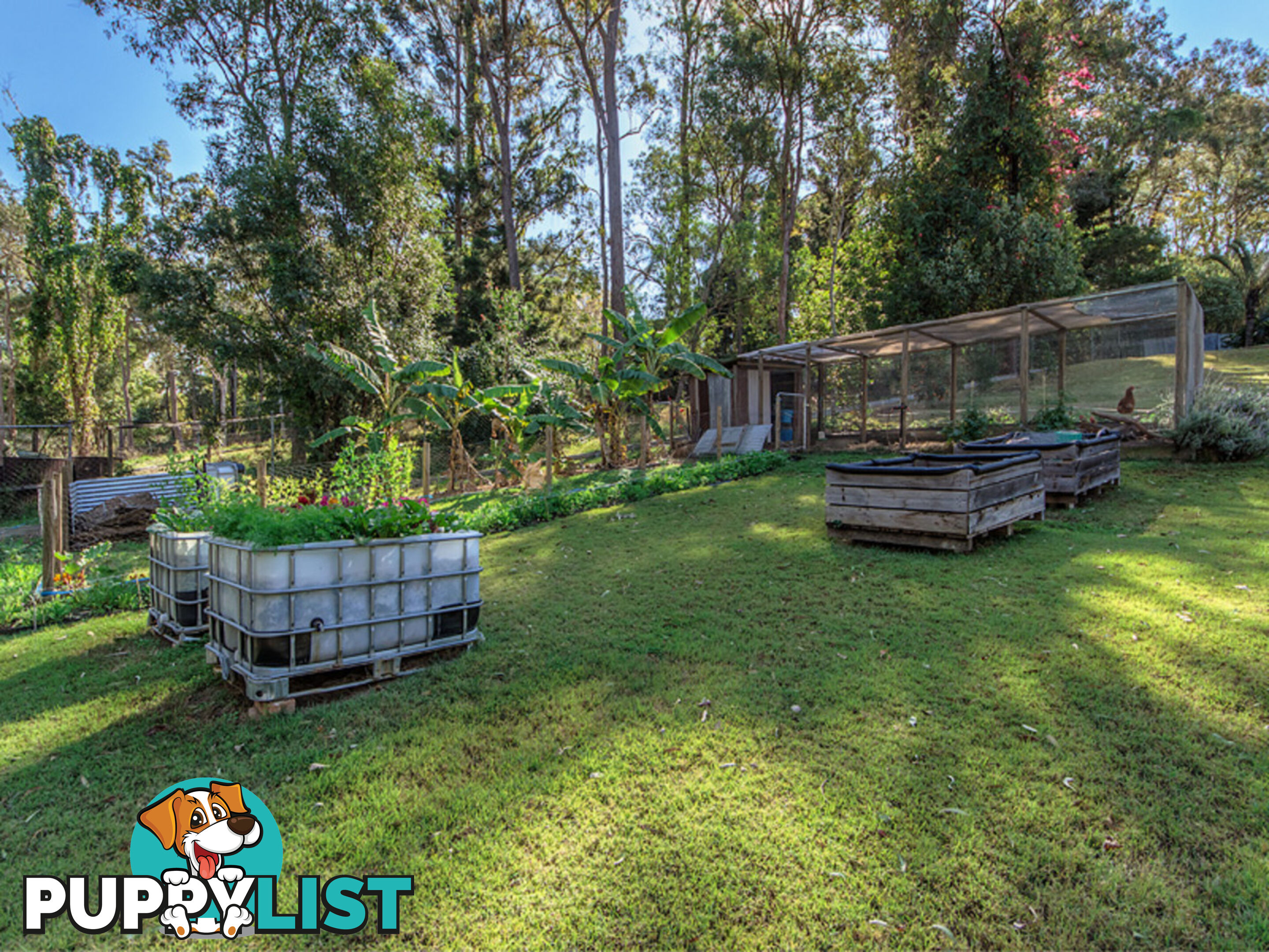 18 Hallett Avenue Camira QLD 4300
