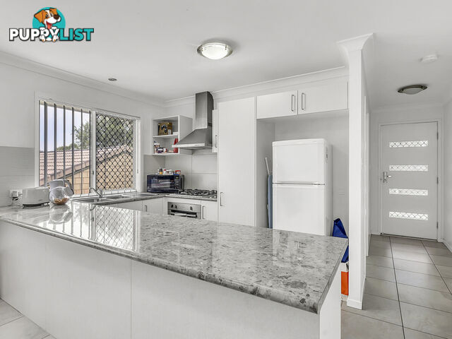 2 6 Tranquillity Circle BRASSALL QLD 4305
