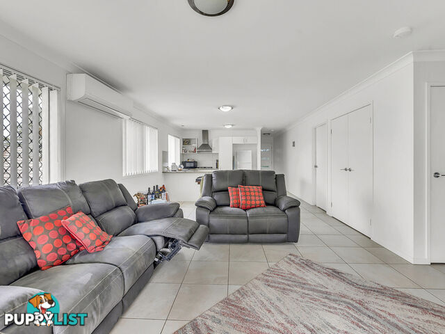 2 6 Tranquillity Circle BRASSALL QLD 4305